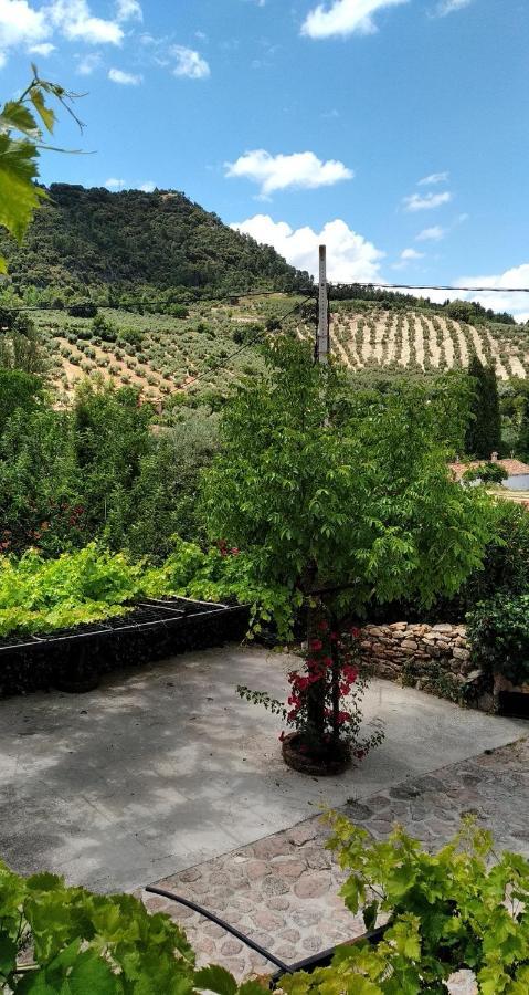 Cortijo El Lerele Apartment Cazorla